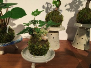 IMG_3391