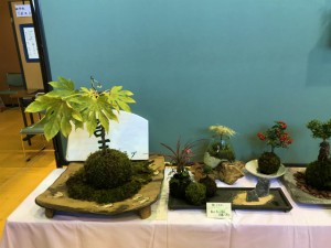 IMG_6075